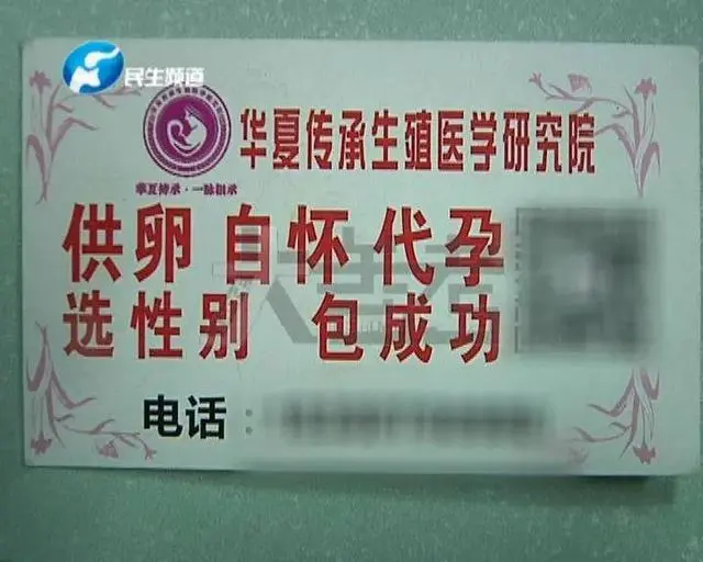 女记者卧底查询，揭秘地下代孕黑色利益链