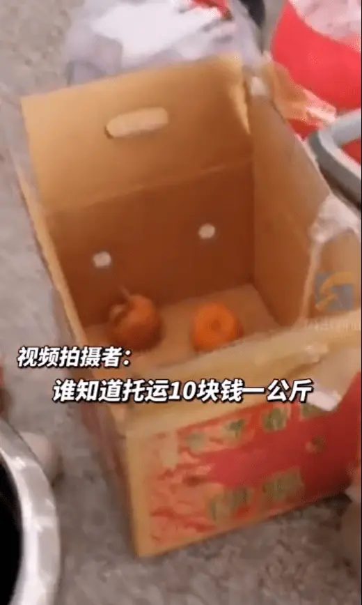 四男人嫌机场邮寄费太贵，半小时吃完60斤橘子！