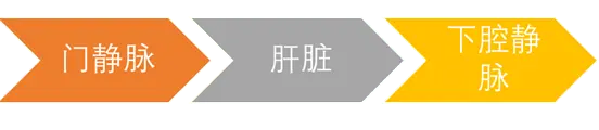 76岁白叟忽然很多呕血，医师在她脖子扎个针孔做手术