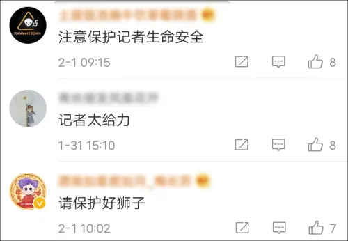 “碰着我你算是碰见硬茬了”：硬核记者拽着代孕中介去报警