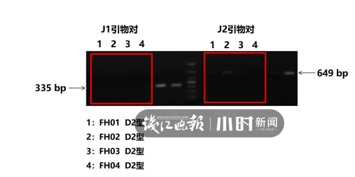 究竟有多野？浙江渔民那网价值百万大黄鱼，基因测序出成果了