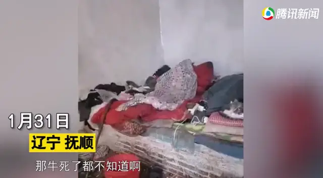 懒散父子睡到正午不起床，床边吃喝拉撒，扶贫干部：还想让咋操心