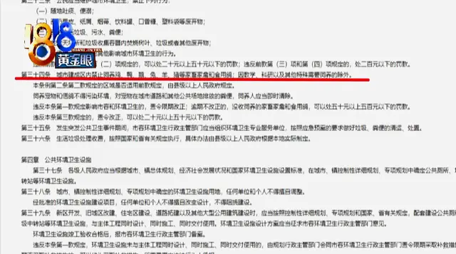 开门傻眼了！鸡和鹅在床上“蹦迪”？租客：我就想养