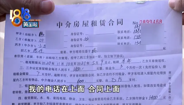 开门傻眼了！鸡和鹅在床上“蹦迪”？租客：我就想养