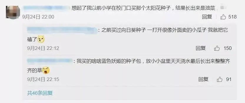 男子网购孔雀蛋精心照料一月，孵出的竟是鸭子！网友：万一是天鹅？