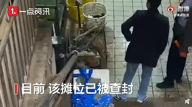 湖南永州商场卖现宰活猫，律师：没有法令规定不能吃，网友直言不能承受