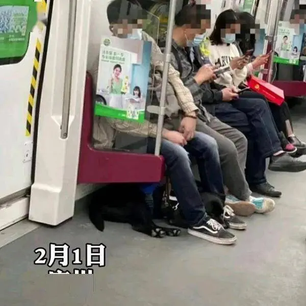 广东男人带狗进地铁被斥责,现呈现回转:男人是瞎子,狗是导盲犬