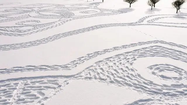 芬兰艺术家用数千足迹踩出雪花图画 用时两天