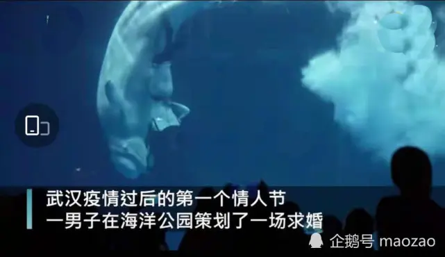 湖北武汉小伙苦练潜水，水下求婚成功！
