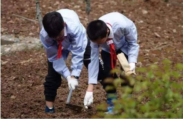 一屋不扫何故扫全国！高校开设“烧菜”课，有必要吗？