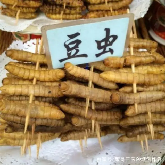 豆虫是损害大豆的害虫，却被人们饲养出售，价格到达80元一斤