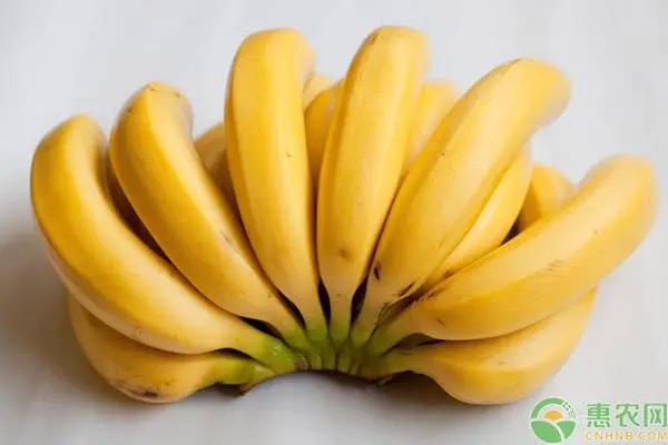 日本培养出可连皮食用香蕉是怎么回事？