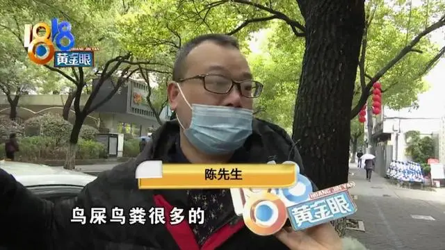 车停公共泊位，为什么不能盖车衣？