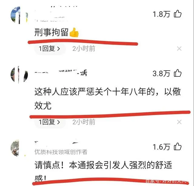 大V辣笔小球被抓了，网友纷繁拍手叫好：真是活该！