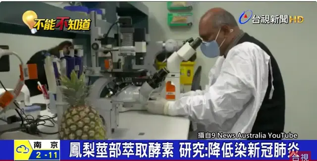 新噱头？台媒报导凤梨萃取酵素能下降感染新冠肺炎，网友：何须买疫苗？