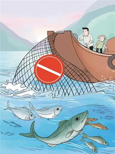 政协委员：建议加强小龙虾等入侵物种生态防控