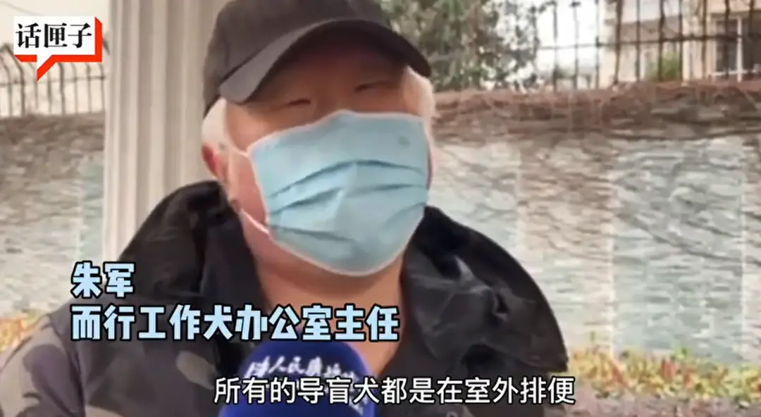 最新后续！小区居民和居委回应上海导盲犬排尿被赶出小区，各方有委屈...？