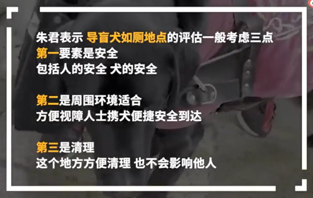 最新后续！小区居民和居委回应上海导盲犬排尿被赶出小区，各方有委屈...？