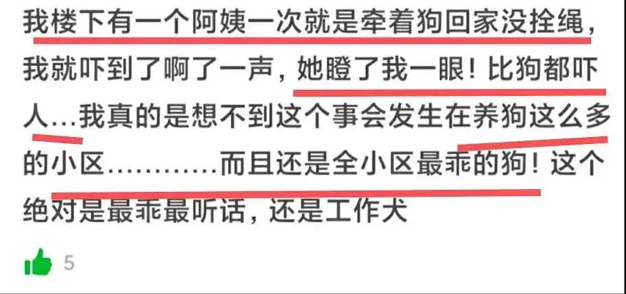 最新后续！小区居民和居委回应上海导盲犬排尿被赶出小区，各方有委屈...？