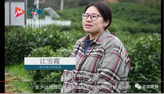 女生辞职回乡当茶农为村里增收 自创粽子茶一年卖出40万颗 高考全县第一女生辞高薪回乡创业引关注