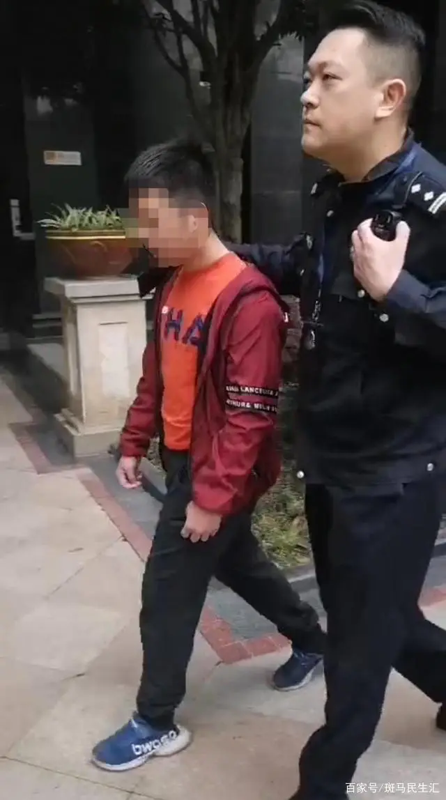 13岁男孩猥亵小区多名幼女！掀开衣服按倒在地，被警方带走很淡定