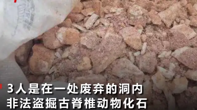 陕西3男子盗挖“土龙骨”被埋身亡，之前有人用来卖钱