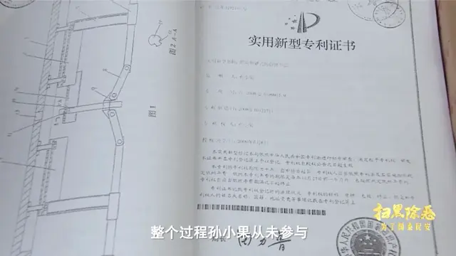 起底孙小果“死刑不死”幕后细节 扫黑大片全揭秘