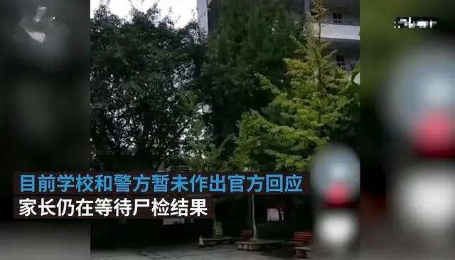重庆15岁男孩失踪，一周后尸体在校内水池发现，家属：书包里有砖头，身上有伤