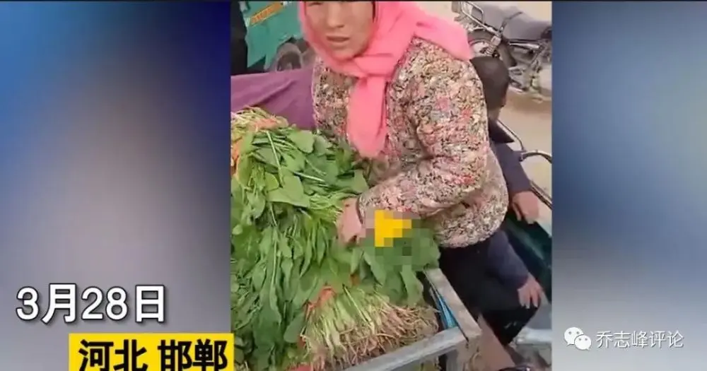 农民1300斤蔬菜只卖15元，钱都被谁赚了？