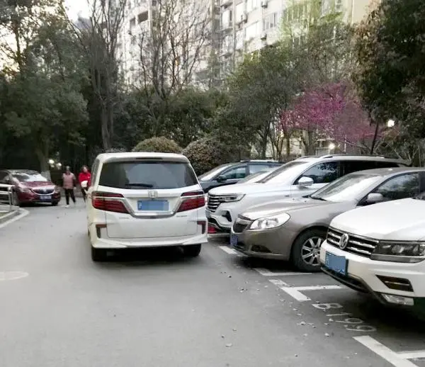 上海一小区近40%地面车位被固定，停车矛盾加剧，有车主提意见后车被砸