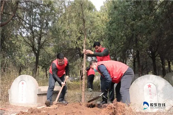 莱州：我为烈士种棵树