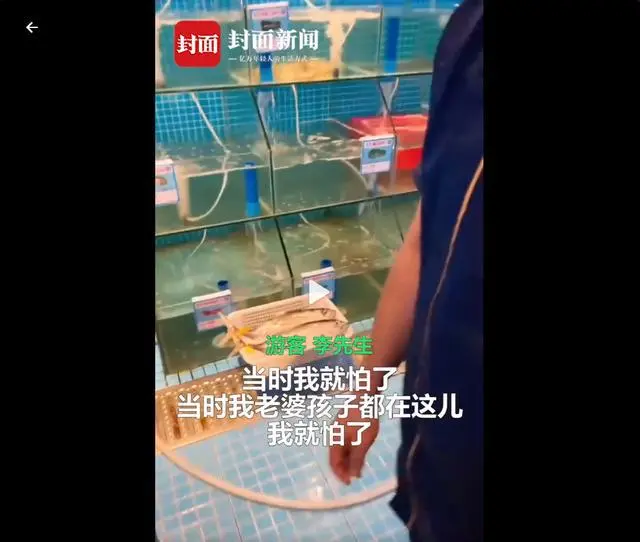 震惊！游客称三亚吃海鲜遭遇宰客：6只海胆蒸蛋光有蛋没有海胆，还被威胁“不要闹事，不然走不掉”