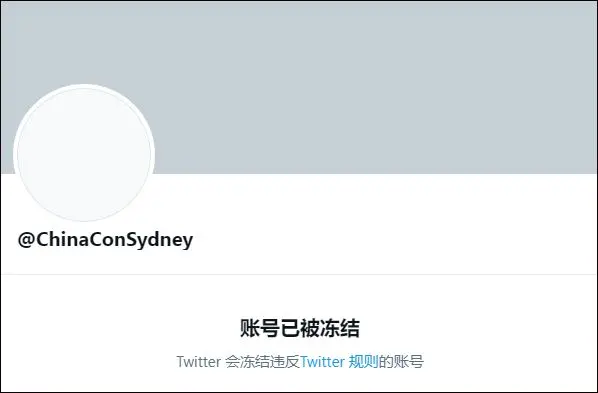 推特再玩“双标”，封禁我驻巴基斯坦外交官和驻悉尼领事馆官方账号