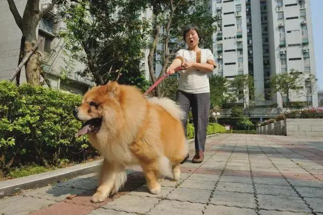 之前把车友群弄成“炮友群“的车企，这次又作妖了