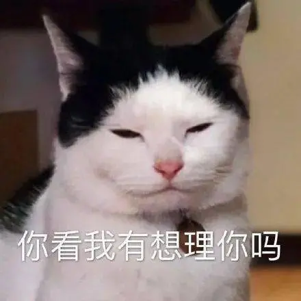 【沙雕猫表情包】陈萌萌沙雕表情包