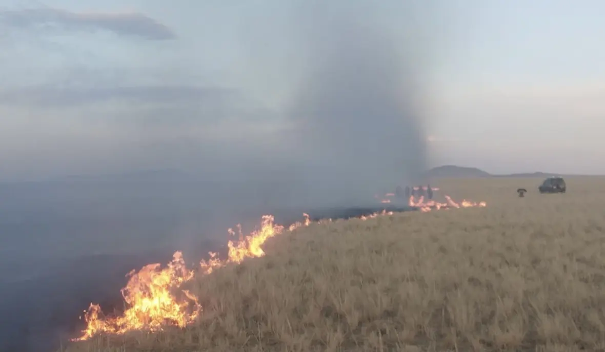 蒙古国草原大火已蔓延至中国境内 现场扑救画面曝光！