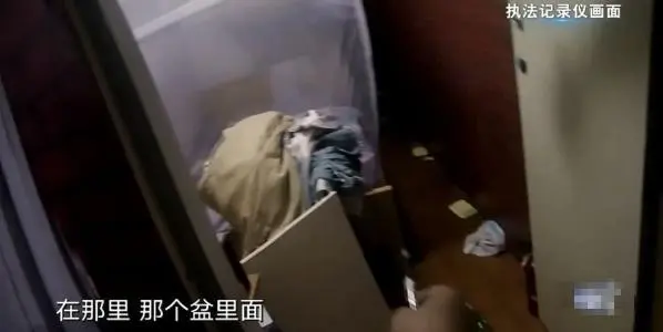 上海女子出租房内病逝，家属要房东赔60万：在你房子里死的必须你赔