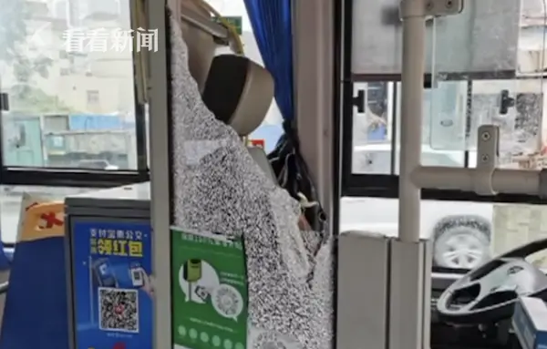 刑拘！公交行驶途中，女子怒砸玻璃还殴打司机