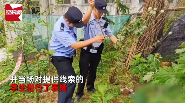 小学生带着警察去“扫毒”，民警铲除后当场表扬：我跟你妈妈讲！