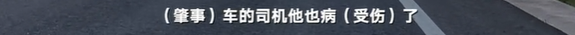 于月仙车祸中，被撞的骆驼主人发声：两峰骆驼都怀了崽子