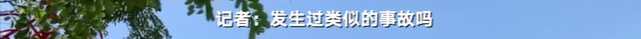 于月仙车祸中，被撞的骆驼主人发声：两峰骆驼都怀了崽子