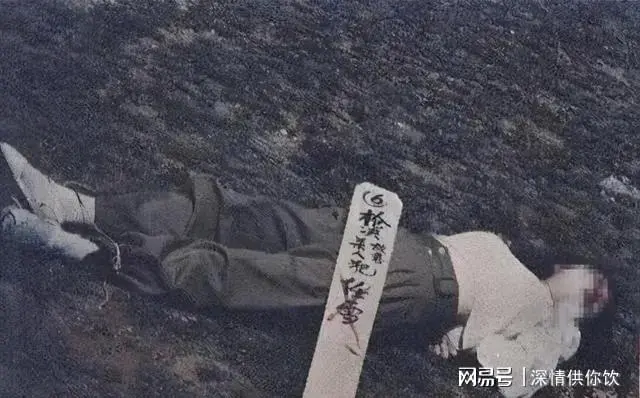 “最美死刑犯”任雪：死前主动张嘴，众人不解，行刑人员却懂了