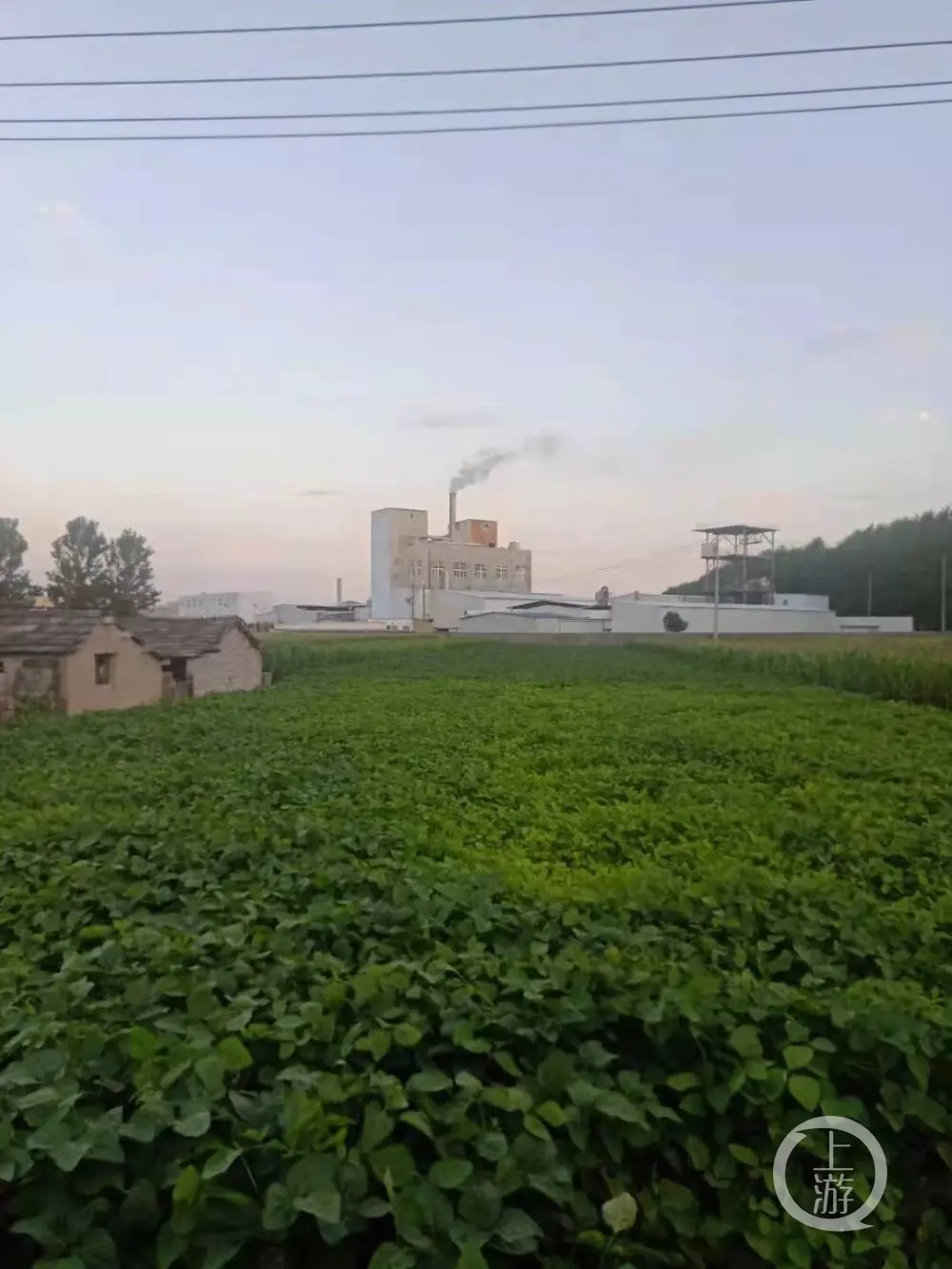 江苏灌南食品厂被举报雨天排污致河水变白色 官方：搬运过程中化学品泄漏