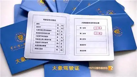 昆明一高校发放“大象驾驶证”网络走红！网友：大象发吗？