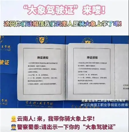 昆明一高校发放“大象驾驶证”网络走红！网友：大象发吗？