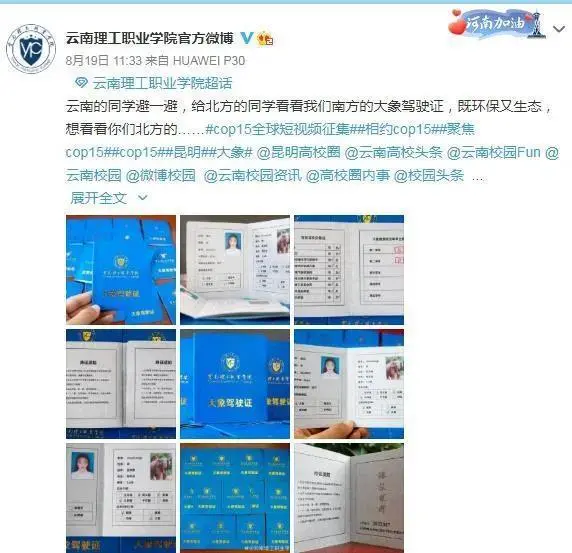 昆明一高校发放“大象驾驶证”网络走红！网友：大象发吗？