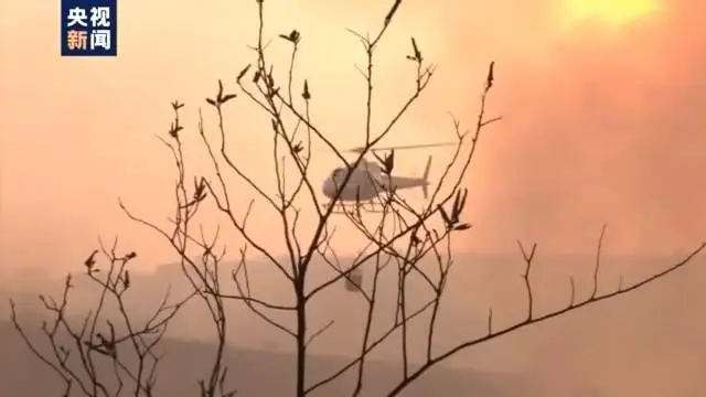 巴西茹克里森林公园大火 总面积的60%被烧毁