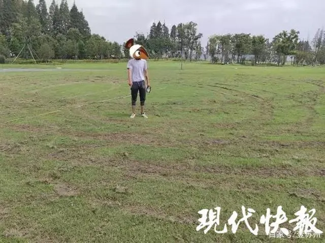 三男子公共草坪玩漂移，损毁 700 平方米绿化