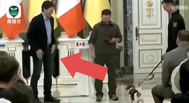 乌加会面一只狗成“主角”，泽连斯基为它受奖，特鲁多摸口袋找吃的