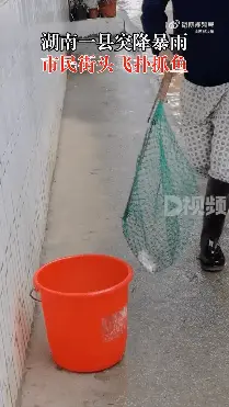 湖南一县突降暴雨市民街头抓鱼 ，市民：水不深，最大的鱼5斤多